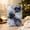 A, variant on 3.15" Christmas Printed Decorative Ball, Cloth Wrapped Retro Chinese Style Hanging Ornament with Velvet Ribbon, for Christmas Tree Door Window Wall Hanging (6pc,Assorted Colors)