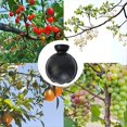 thumbnail image 4 of 10PCS Plant Rooting Ball Propagation Rooting Box Reusable Plant Root Growing Box Grafting Rooting Propagation Pots,10 x Plant Rooting Balls,Black, 4 of 6