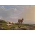thumbnail image 2 of Frans van Severdonck 18x14 Gold Ornate Wood Frame and Double Matted Museum Art Print Titled - Sheep in Landscape (1862), 2 of 4