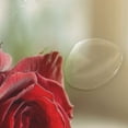 thumbnail image 4 of Bath Curtain & 60x72in Non-Slip Bath Mat Set 12-Grommet Shower Curtain Memory Foam Bath Rug Roses on Wooden Table, 4 of 8