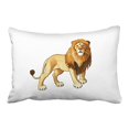 thumbnail image 1 of RYLABLUE Cartoon Lion Simple Art Drawing Brown And Orange Decorative Pillowcases With Hidden Zipper Decor Cushion Covers Two Side 20x30 inches, 1 of 1