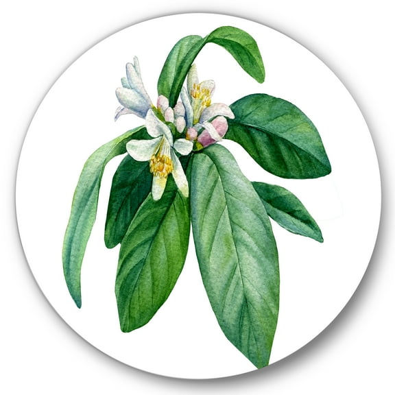 Designart 'Flowering Mandarin With Branch' Traditional Circle Metal Wall Art 36x36 - Disc of 36