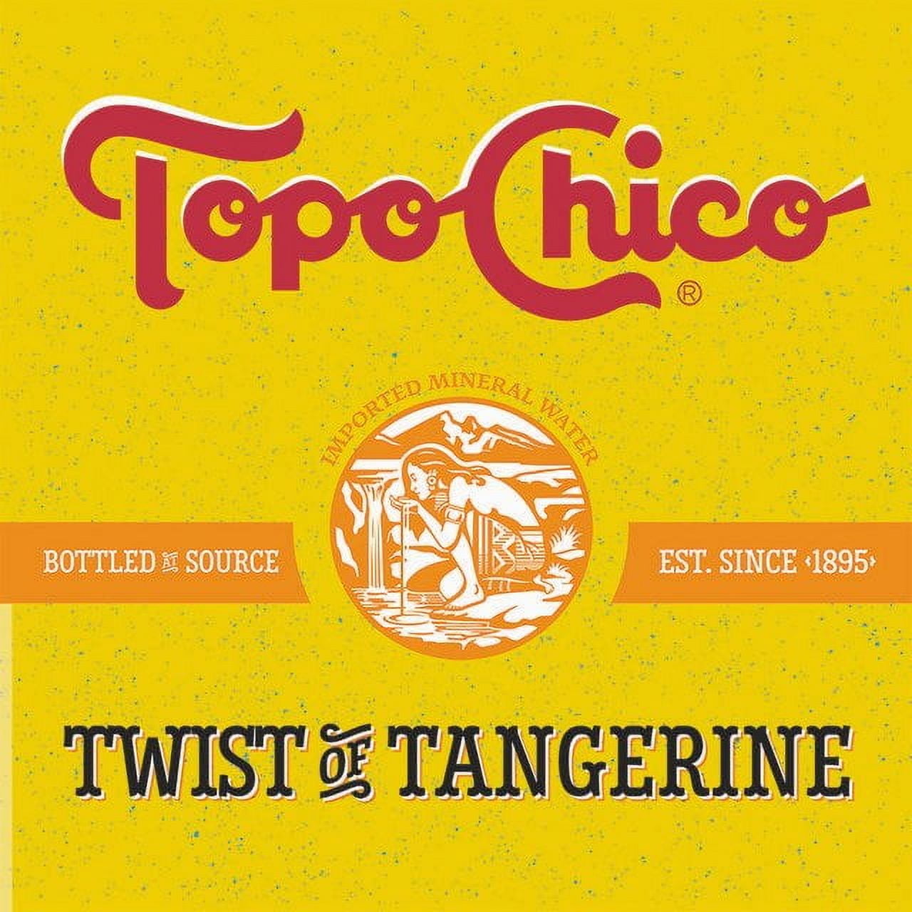 Topo Chico Sabores, Variety Pack Sparkling Water, 12 Oz Can