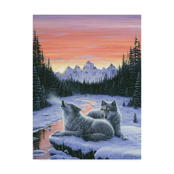 Trademark Fine Art 'Winters Dawn' Canvas Art by Jeff Tift