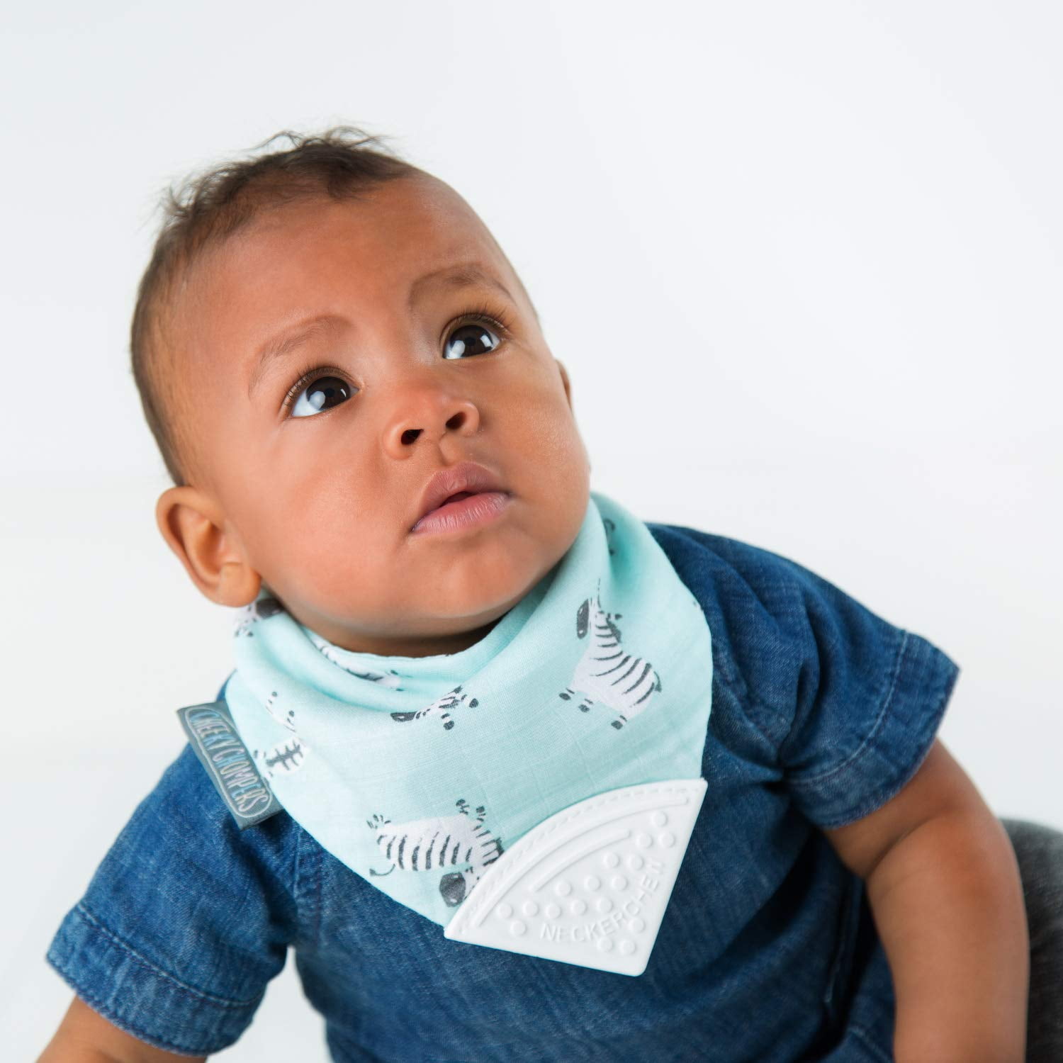 The Original Chewy Teething Bib : Super Absorbent Reversible Bandana Drool Bib for Teething Babies. Food-Grade Silicon Teethers are BPA and Phtalates-Free | Dino Friends Neckerchew by CHEEKY CHOMPERS
