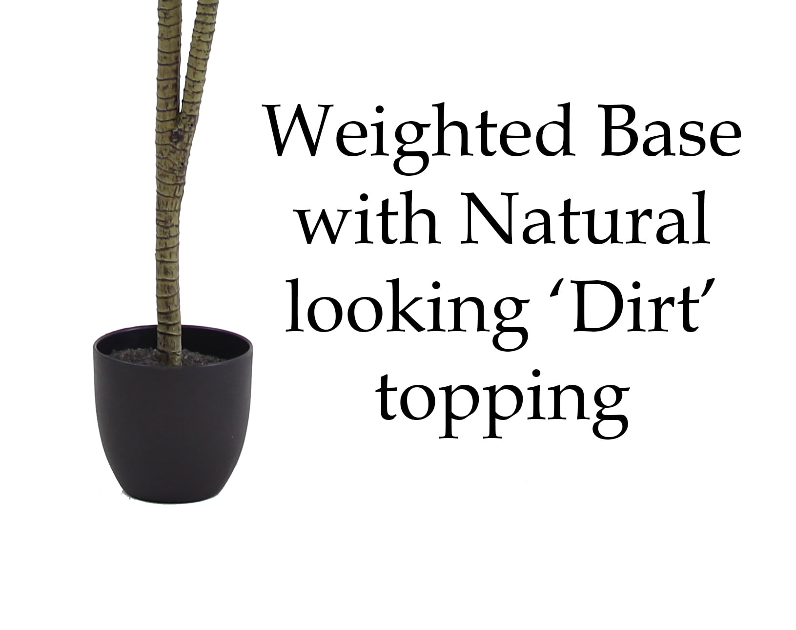 The Mod Greenhouse 40" Artificial Variegated Dracaena Tree in a 5.5" Black Matte Contemporary Pot (22 Leaf)