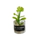 thumbnail image 2 of Mini Juguetes CUTICAT en macetas artificiales para casa de muñecas en miniatura, 2 of 8