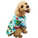 thumbnail image 1 of Camisetas hawaianas para perros (azul M)-, 1 of 2