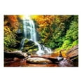 thumbnail image 2 of Tiptophomedecor Peel and Stick Forest Wallpaper Wall Mural - Amazing Wonder Of Nature - Removable Wall Decals, 2 of 3