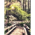 thumbnail image 3 of Amos, Andy 15x18 Black Modern Framed Museum Art Print Titled - Sunlight on the Forest Path, 3 of 5