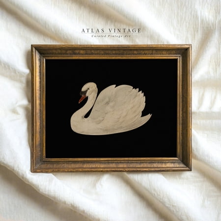 Vintage White Swan Print, Unframed Paper Poster 8x10in
