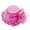 A2 Hot Pink, variant on BODOAO Derby Hat forWomen Garden Party Hat Hat forChurch Goers Hat forRace Goers Fancy Hat Elegant Dress Hat Formal Hat forWomen Bridal Tea Party Wedding Hat Floral Organza Hat Coffee