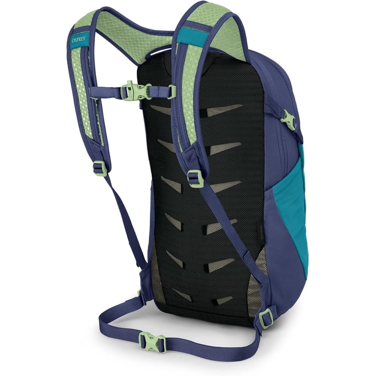 patagonia backpack nordstrom rack Patagonia Black Hole 25 Liter Backpack