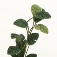 thumbnail image 3 of 1/ En s Modelo De Plantas Accesorios De Decoración De Jardín UNA Yotijar Plantas de miniaturas de casas de muñecas, 3 of 5