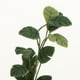 thumbnail image 4 of 2-6pcs 1:12 Casa De Muñecas Miniaturas Plantas De árboles En Macetas Brasiletto Adorno 4pcs 4 piezas Sunnimix Plantas de miniaturas de casa de muñecas, 4 of 8
