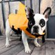 thumbnail image 4 of Summer Vest Shark Pet Life Vest Dog Clothes - Dog Swimwear, Pets Swimming Orange (S), 4 of 5