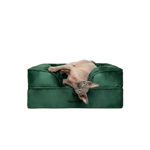 Cama para perros NOAH & PAW, 51 x 38 x 20 cm, espuma viscoelástica ortopédica