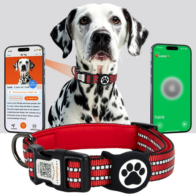 Collar para perro ILFINDYOU con soporte para Apple AirTag a prueba de agua