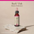 thumbnail image 5 of Esencia floral original de Bach, remedios florales de roble, 10 ml, 5 of 5