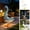 E, variant on Metal Garden Goose with Solar Light, Porch Goose Garden Statue, Goose Figurine with LED Light
