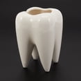 thumbnail image 4 of 2X Tooth Shape White Ceramic Flower Pot Modern Design Planter Teeth Model Mini Desktop Pot Gift(Without Plants), 4 of 8