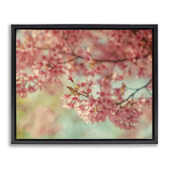 Stupell Industries Shabby Chic Pink Cherry Blossoms Black Floating Frame Canvas Art, 21 x 17, by Carrie Ann Grippo-Pike