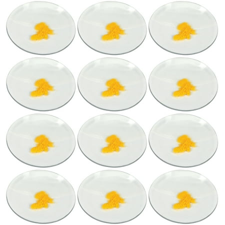 12PK Watch Glasses  2  (5cm) - Cover Lids for Beakers & Flasks - Evaporation Dish - Polished with Ground Edges - Eisco Labs price history on PriceWatchPro