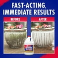 thumbnail image 6 of 30 SECONDS Outdoor Cleaner Concentrate - Rapid Results- Cleans stains from algae, mold and mildew from fences, siding, concrete, deck - 2 PACK, 1 Gallon, 6 of 7