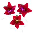 thumbnail image 1 of Kurt S. Adler AD1010 10-Light LED Fibre Optique Poinsettia, 1 of 1