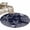 Navy, variant on Blue Coastal Entryway Rug 2'x3' Non Slip Front Door Mats, Starfish Coral Summer Beach Ocean Entrance Rugs Indoor Outdoor Carpet, Washable Floor Mats Small Area Rug for Bedroom Kitchen