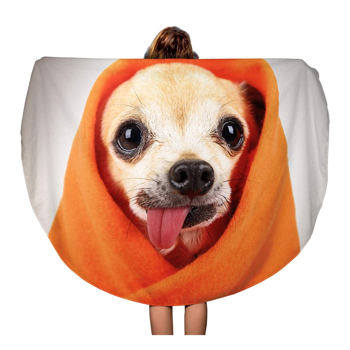 chihuahua wrapped in blanket