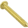 thumbnail image 3 of Screw, Aladdin, Brass Retaining, Universal Light Ring, Qty3, 3 of 3