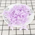 thumbnail image 4 of KAKOWELY 100pcs Gift Package Bows Small Size Decorative Bows Diy Craft Bow (Random Color),1.77"X0.98"X0.04", 4 of 4