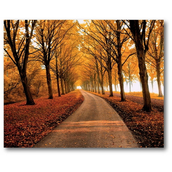 Courtside Market Autumn Sunset Gallery-Wrapped Canvas Wall Art, 16x20