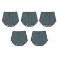 thumbnail image 1 of 5 Pcs Culottes Sans Coutures pour Femmes Taille Haute Invisibles Extensibles en Soie Glacée Hipster Côtés Ondulés Culottes Invisibles, 1 of 8