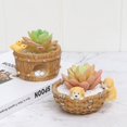 thumbnail image 4 of Succulent Flower Pot Drain Hole with Rubber Plug Micro Landscape Resin Small Animal Storage Box Office Desk Decoration A2, 4 of 7