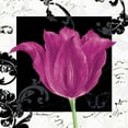 thumbnail image 2 of Pamela Gladding 26x26 White Modern Wood Framed Wall Art Titled - Damask Tulip IV, 2 of 5