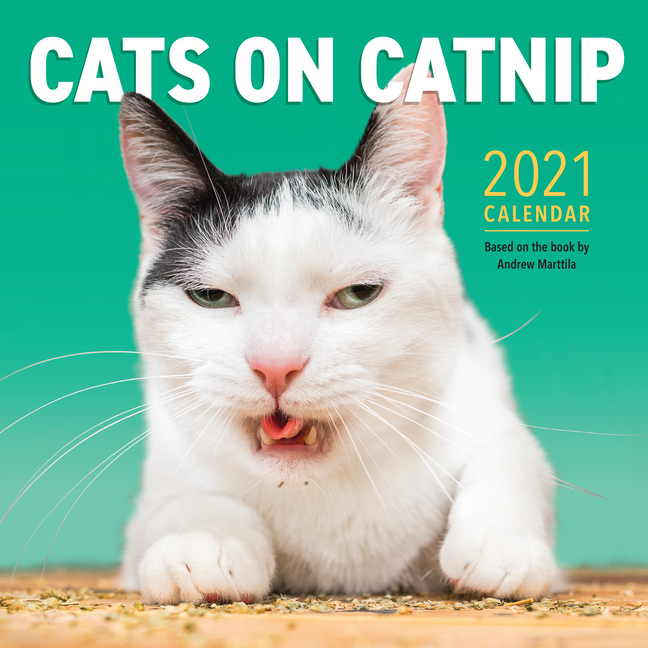 Cats On Catnip Wall Calendar 2021 Other Walmart Walmart