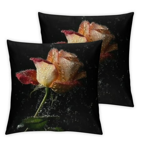 

Set of 2 Throw Pillows Cover 18 x 18 Inches Green Flower Yellow Day Red Ombre Rose On Drops Holidays Water Bud Beautiful Beauty Bloom Blossom Waterproof Cushion Case for Outdoor Decor