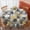 Pioneer Flower Floral, variant on Pioneer Flower Floral Print Pattern Round Tablecloth 70"x70", Wrinkle Resistant Wipeable Table Cover for Kitchen Dining Room Picnic Patio and Party