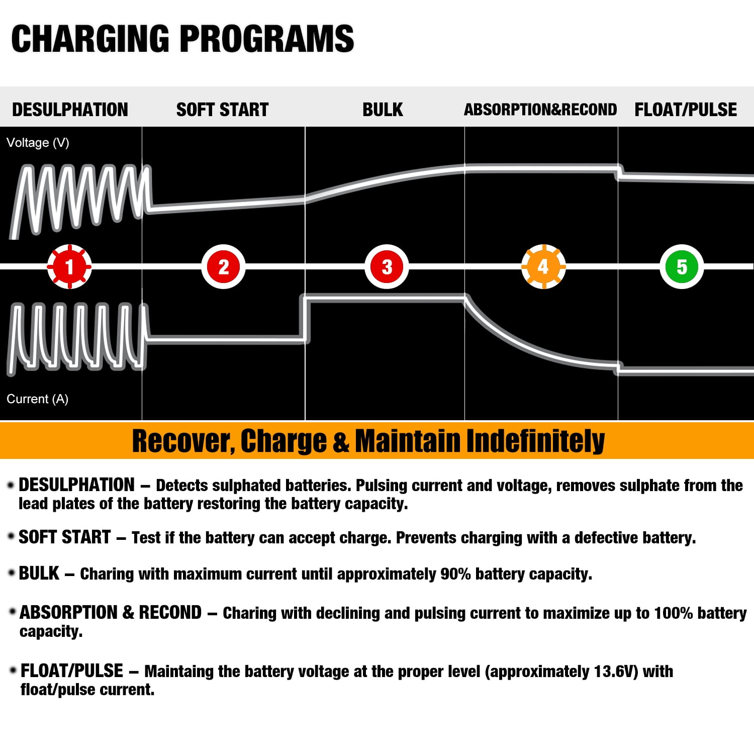 MOTOPOWER 12V 800mA Fully Automatic Battery Charger Battery Maintainer Trickle Charger Desulfator