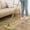 green-As shows, variant on Vxdvou 360° Rotatable Cleaning Mop with Stainless Steel Handle, Wet and Dry Floor Cleaning Mop for Tile, Hardwood, Laminate, Multi-Surface Use with Washable Microfiber Pads for Home and Office