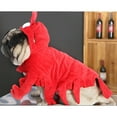 thumbnail image 2 of Disfraz de langosta para perro Teddy Pug Ropa de Halloween juego de rol rojo, 2 of 8