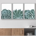 thumbnail image 2 of wall26 Framed Canvas Print Wall Art Set Minimal Haworthia Echeveria Cactus Nature Wilderness Photography Modern Art Bohemian Decorative for Living Room, Bedroom, Office - 16"x24"x3 White, 2 of 5