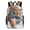 HuWng-6, variant on Powerful Tiger Fierce Predator Hunting Stance Teenage Backpack Middle Students Bookbag Outdoor Daypack