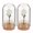 White, variant on MasteelfCA 2pcs Miniature Flower In Dome Miniature Scene Model Mini Flower in Dome for Tiny House Centerpieces