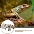 thumbnail image 4 of BRIGHTFUFU 1pc reptiles escondido house tortuga lizard escape cueva resina caseta refugio, 4 of 8