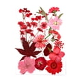 thumbnail image 1 of Dried Flowers Set Tools Makeup Real Flower Decal Handicraft Materials Colorful Pressed Specimen Label Art Decorations Red, 1 of 6