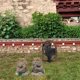 thumbnail image 5 of Hogar Jardín Gato Diglett Casa de Estatuilla en miniatura Decoración de estatuas, 5 of 9