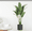 Botanical Wall Decals #B, variant on Enyisa 34.7" Botanical Wall Decals Green Plant Potted Wall Stickers for Living Room Bedroom Home Decor Floral Wall Art for Seasonal Spring Decorations, 1Pack